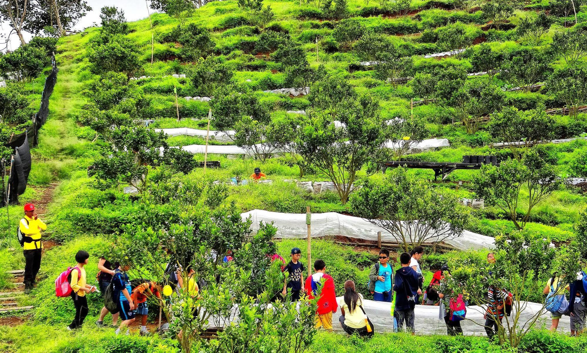 Taman Simalem Resort Tongging Eksteriør billede